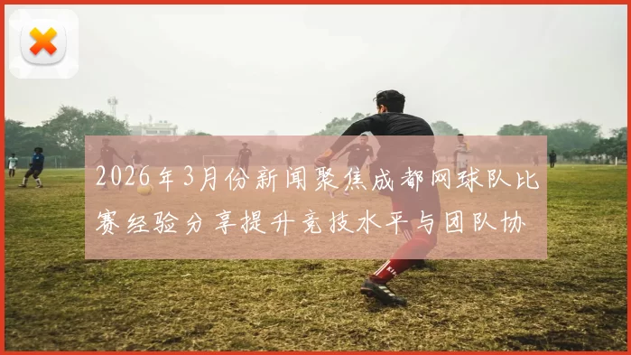 2026年3月份新闻聚焦成都网球队比赛经验分享提升竞技水平与团队协作能力