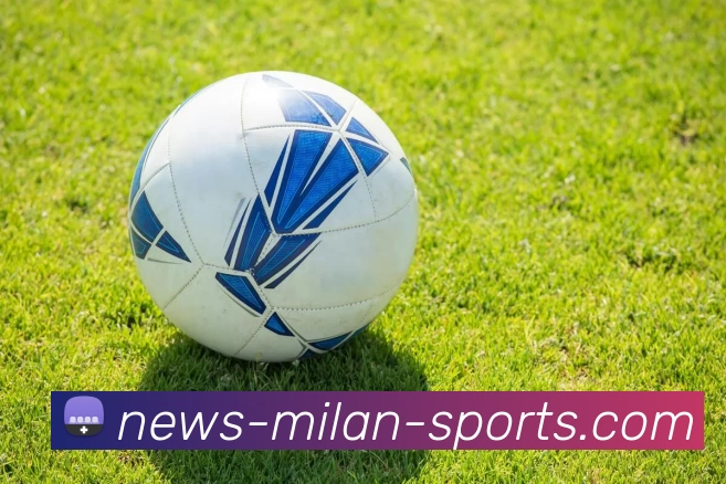 米兰官网平台生态图